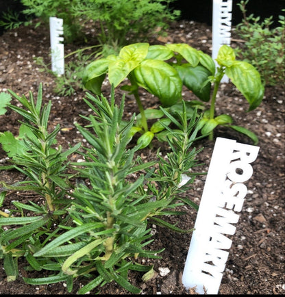 White Acrylic Garden Plant Stake