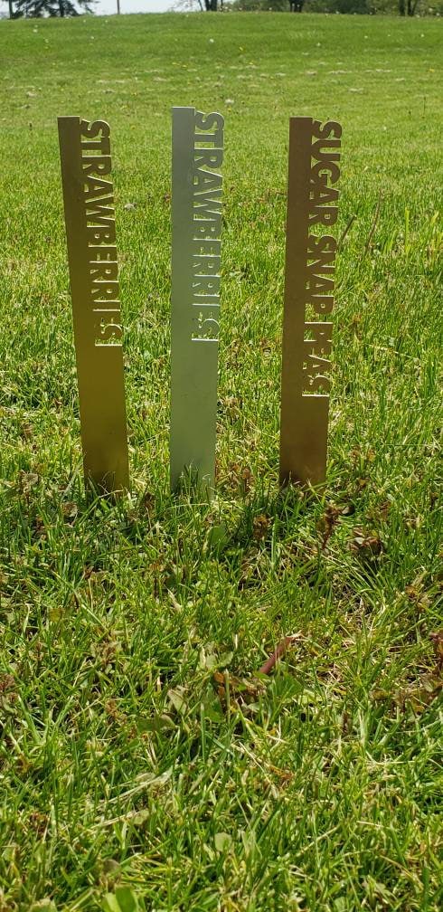 Metallic Acrylic Garden Plant Stake: Custom Herb Label